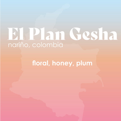 El Plan - Gesha (more sizes added!)