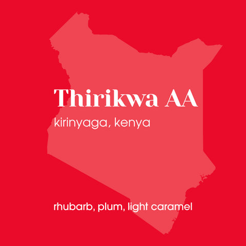 Thirikwa AA, Kirinyaga Kenya