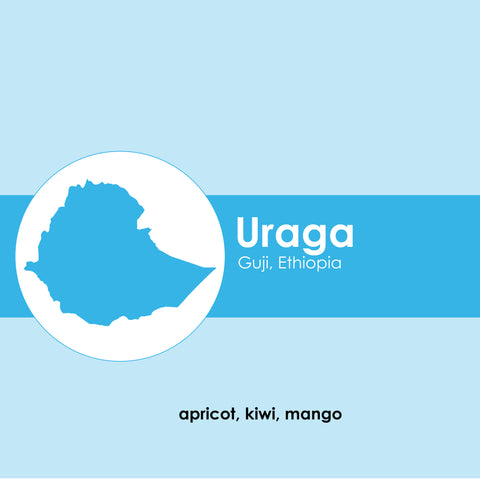 Uraga - Ethiopia