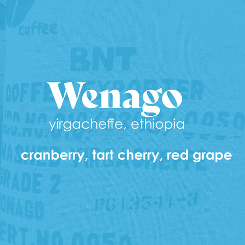 Wenago - Yirgacheffe, Ethiopia